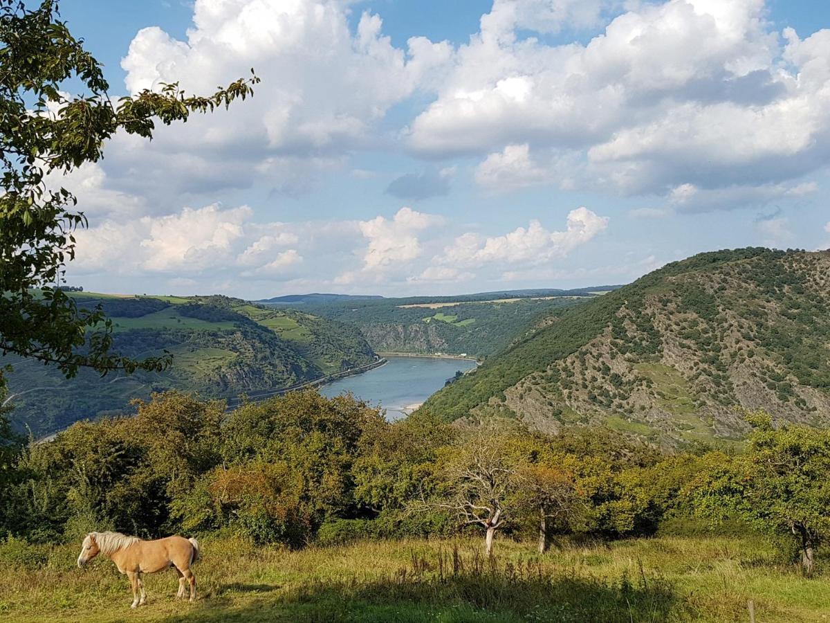 شقة Rhine Pearl Hideaways أوبرفيزل المظهر الخارجي الصورة